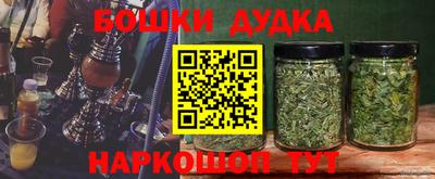 МДПВ Свободный