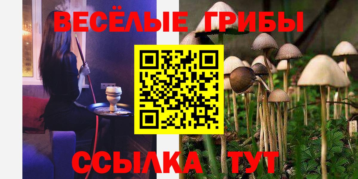 Псилоцибиновые грибы GOLDEN TEACHER Полевской